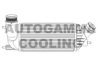 AUTOGAMMA 105720 Intercooler, charger